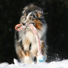 Spielspaß im Schnee