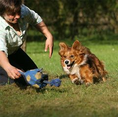 Spiel...Spass...Spannung