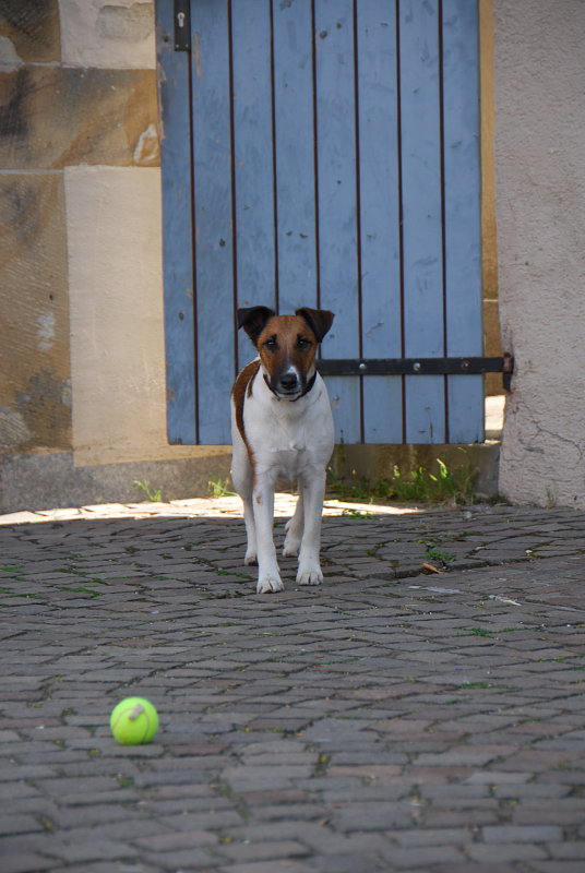 Spielst du mit mir?