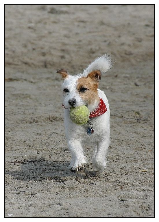 Spielst du mit mir?