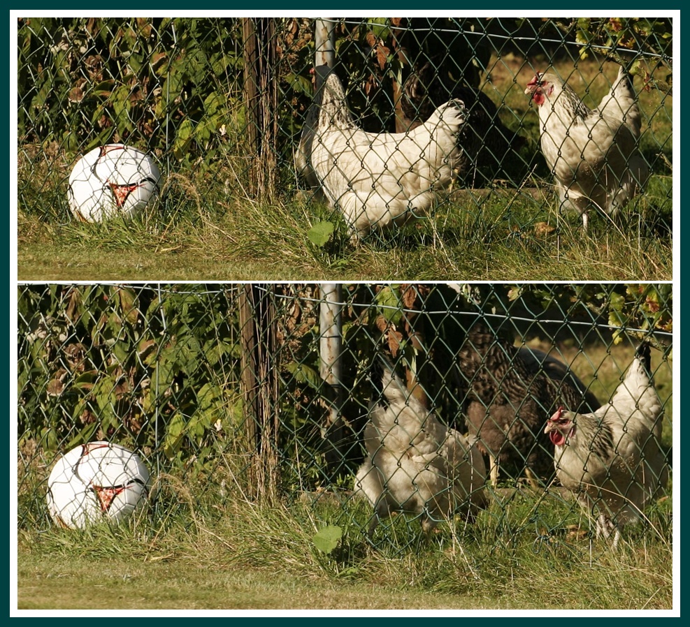 "Spielst Du mit mir Fußball?