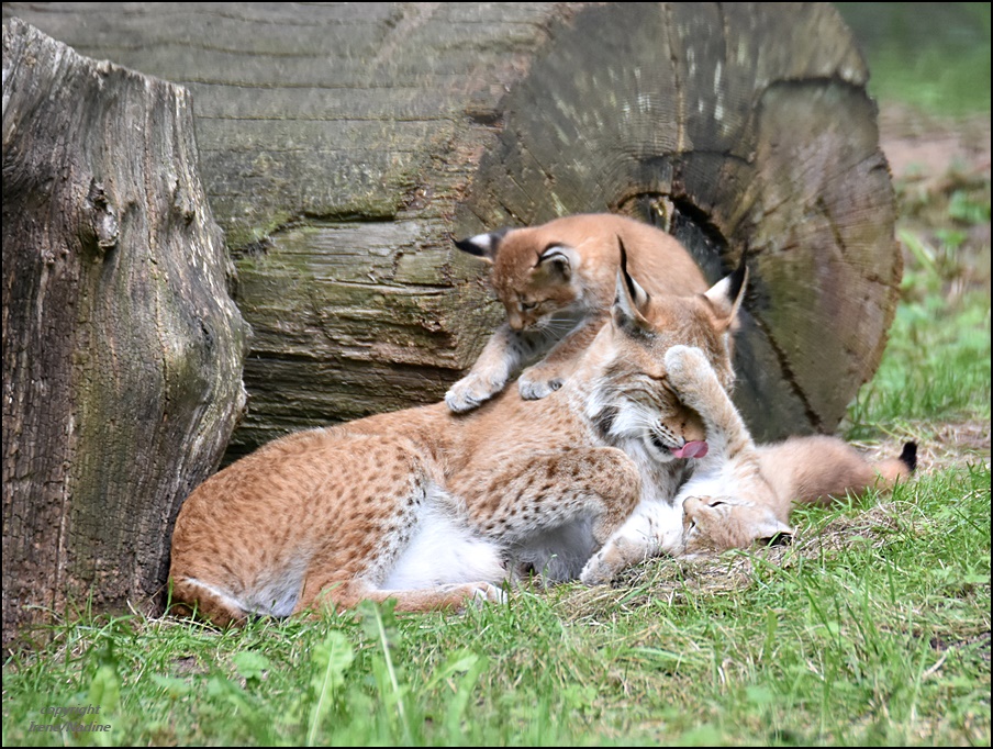 Spielzeit mit Mama