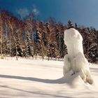 Spielzeug der Schneekönigin *g*