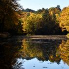 Spiessweiher-Farben