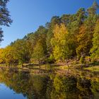 Spießweiher im Herbst