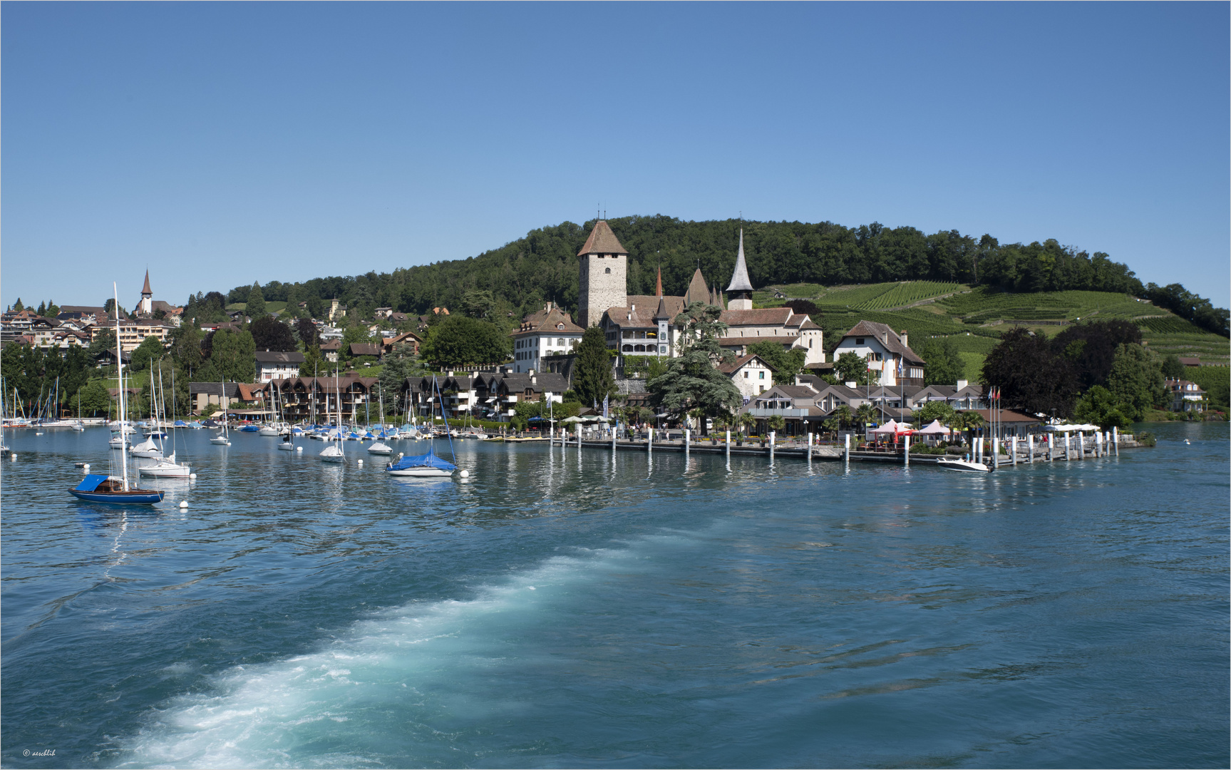 Spiez...