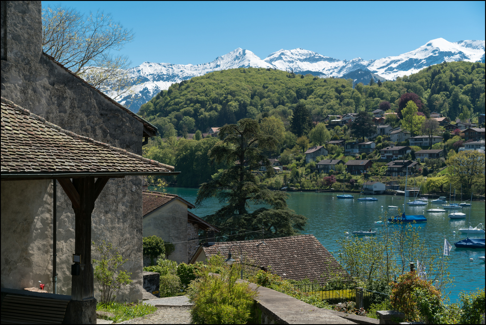 Spiez