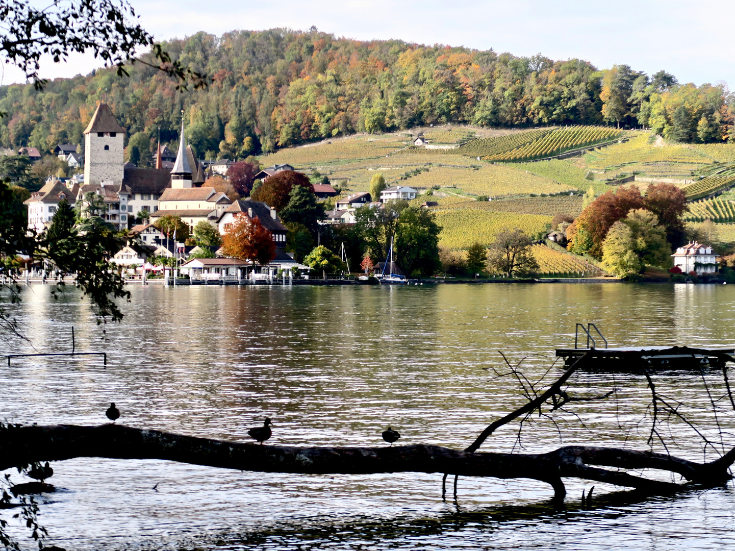 Spiez im Herbstkleid