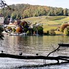 Spiez im Herbstkleid