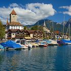 Spiez und seine Bucht