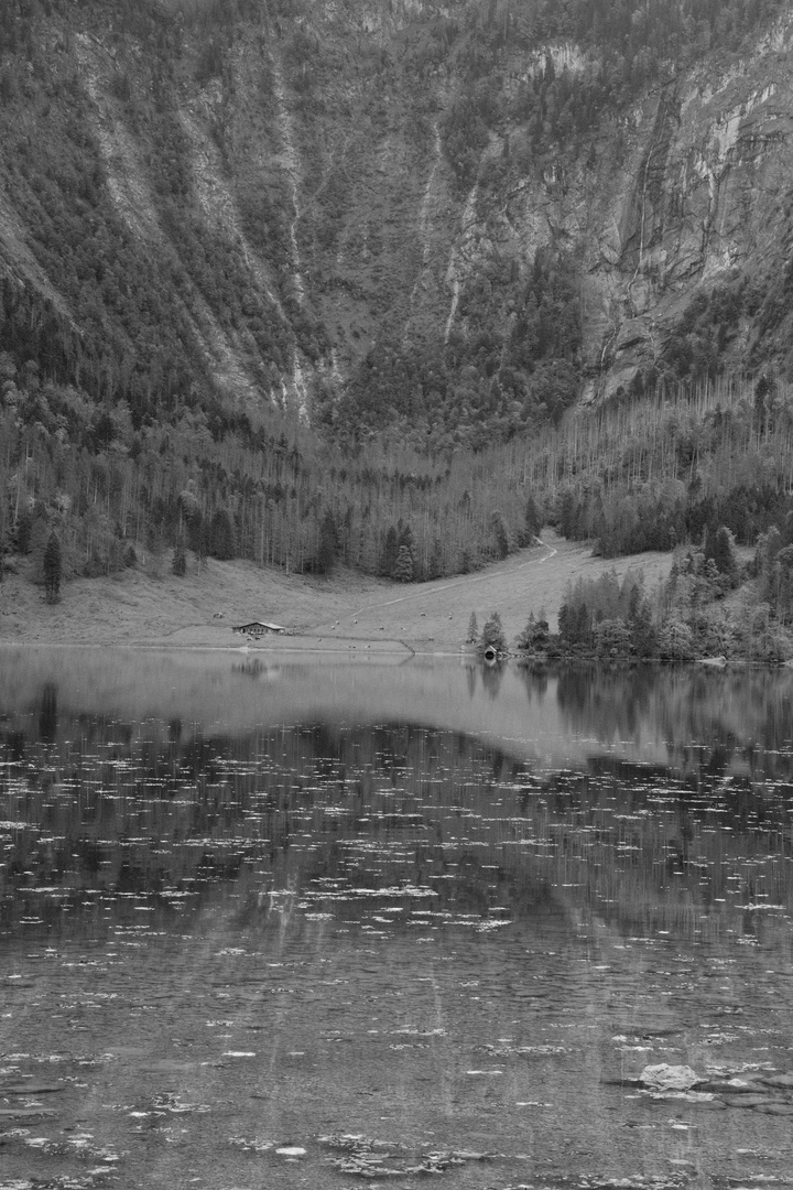 Spigelung im Obersee