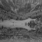 Spigelung im Obersee