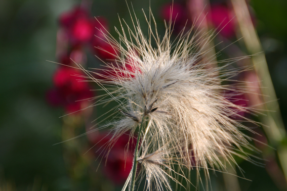 Spikes