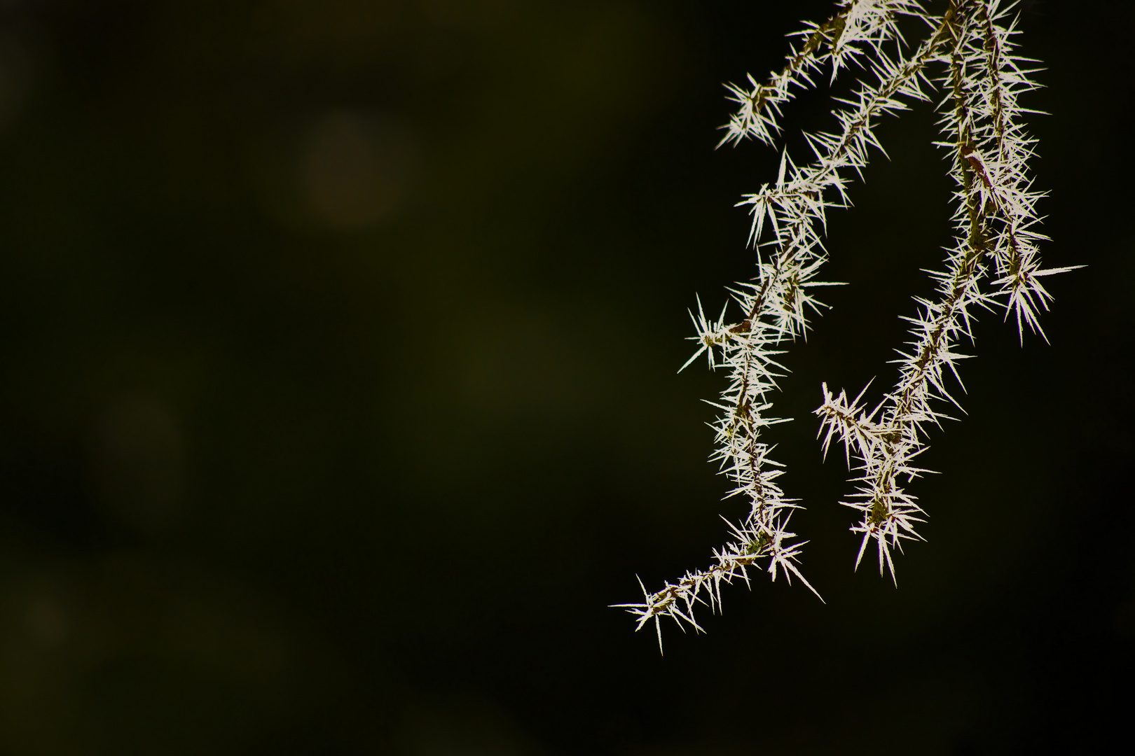 Spikes