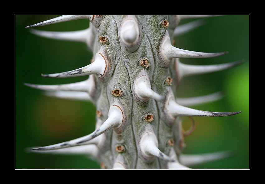 spiky...