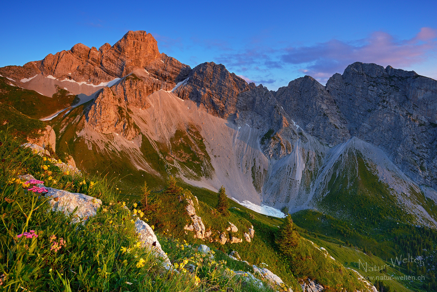 Spillgerten im Abendrot