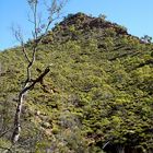 Spinifex Pyramid