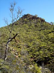 Spinifex Pyramid