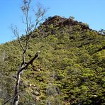 Spinifex Pyramid [b]