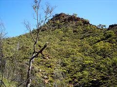 Spinifex Pyramid [b]