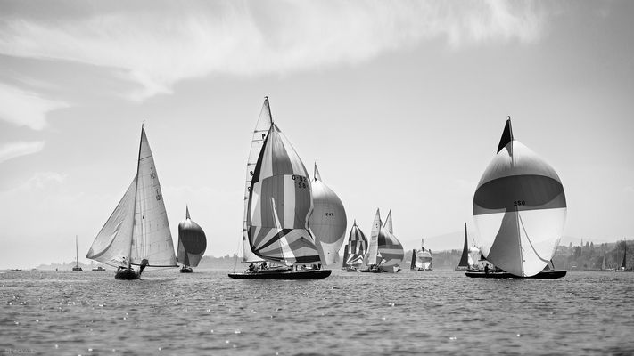 Spinnaker trifft Schmetterling