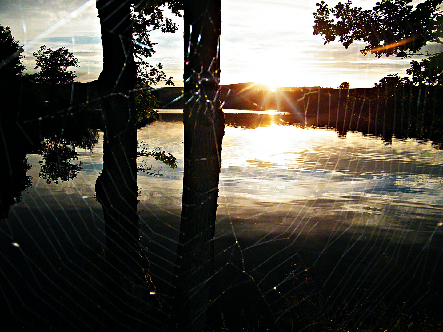 Spinne am Abend, erquickend und labend