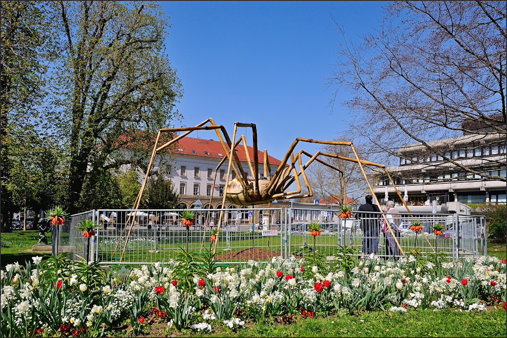 Spinne am Bahnhof