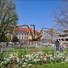 Spinne am Bahnhof