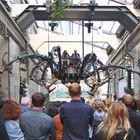 Spinne aus der Galerie Les Machines, Nantes