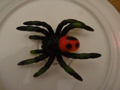 Spinne krabbelt auf dem Teller