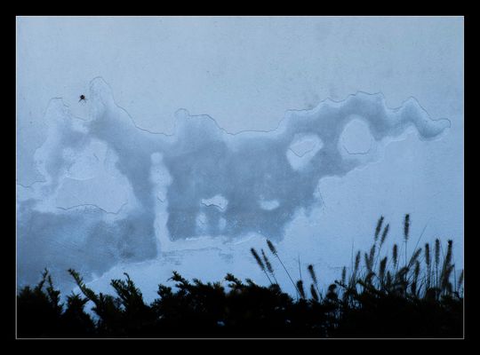 Spinneneinsamkeit ……. The Lonesome Spider …….