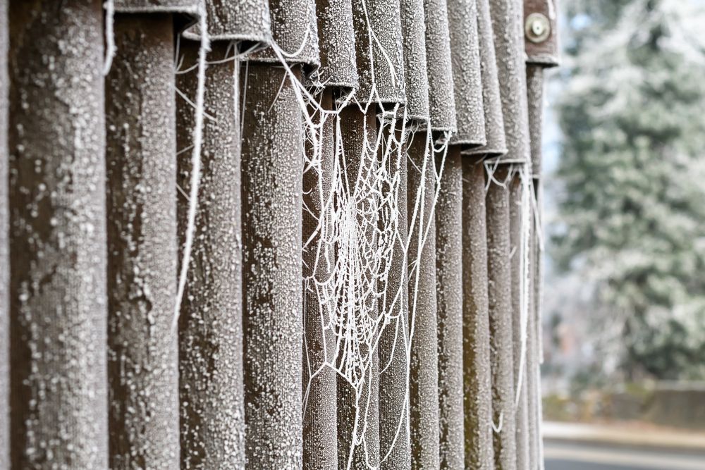 Spinnengewebe gefrostet