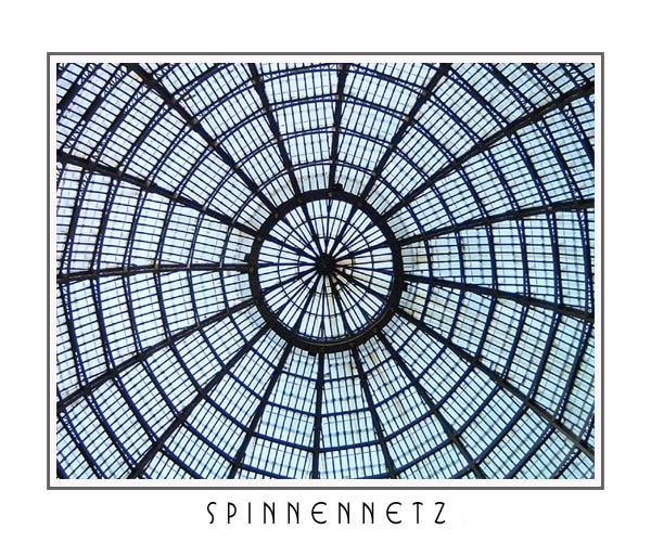 Spinnennetz