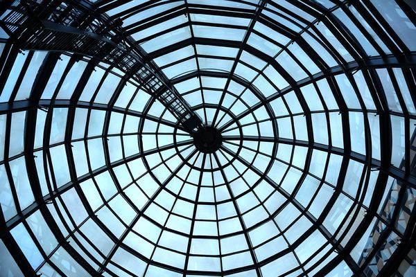 Spinnennetz...........