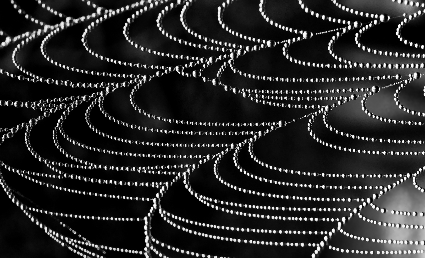 Spinnennetz abstrakt