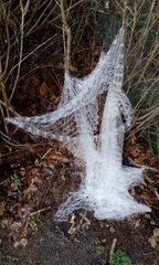 Spinnennetz 'aka' Plastiknetz