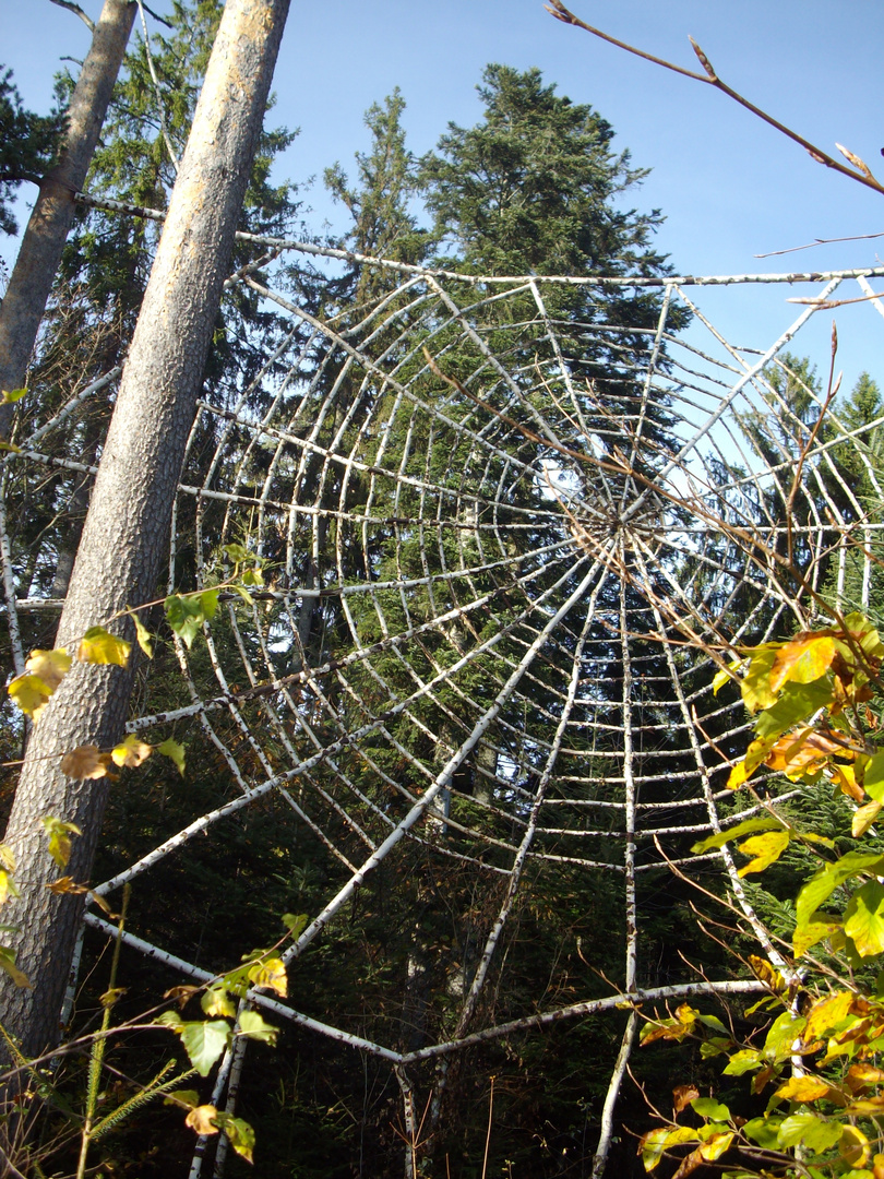 Spinnennetz aus menschlicher Hand