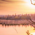 Spinnennetz bei Sonnenuntergang