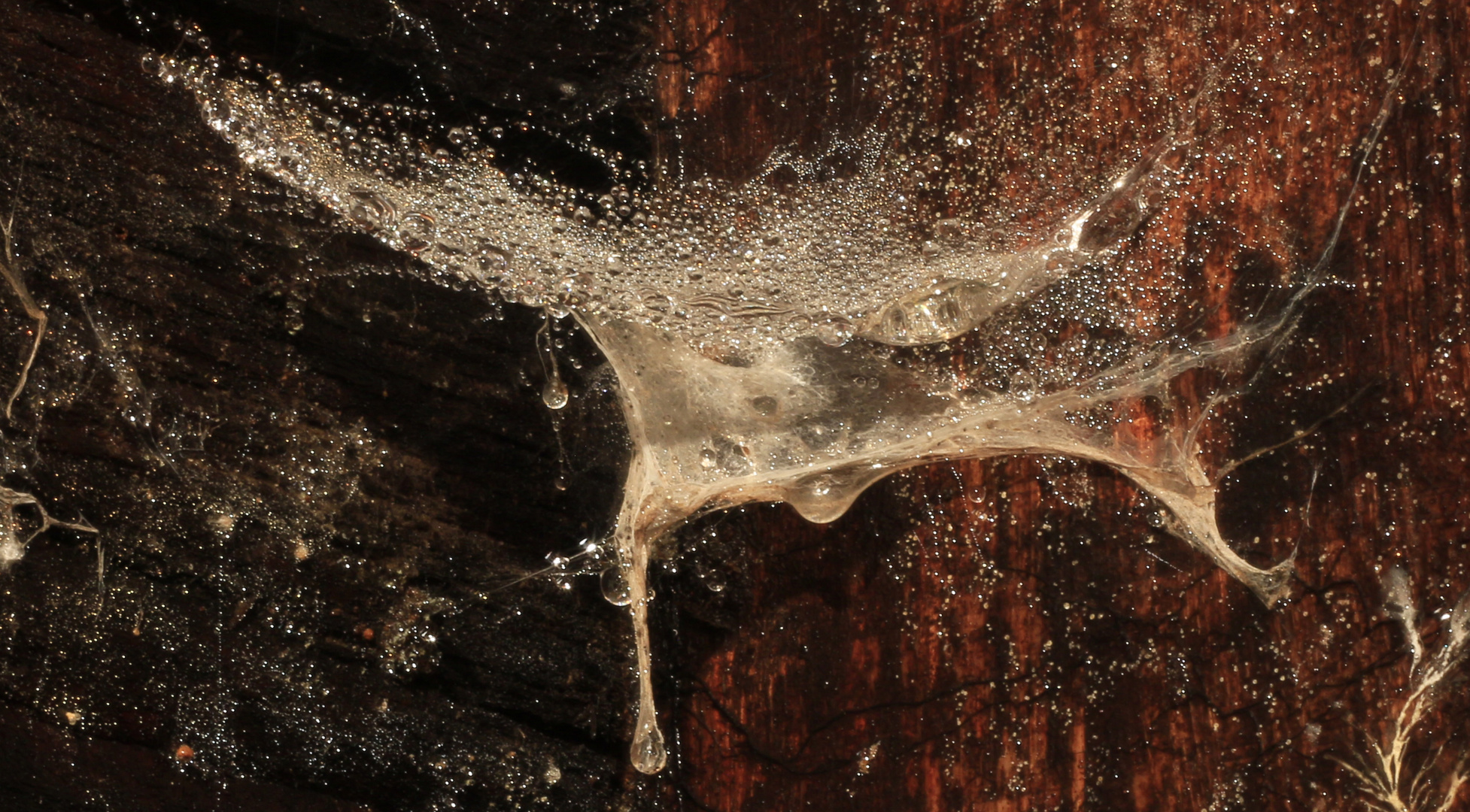 spinnennetz im Bergwerkstollen