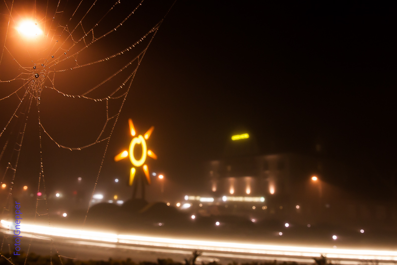 Spinnennetz im Nebel