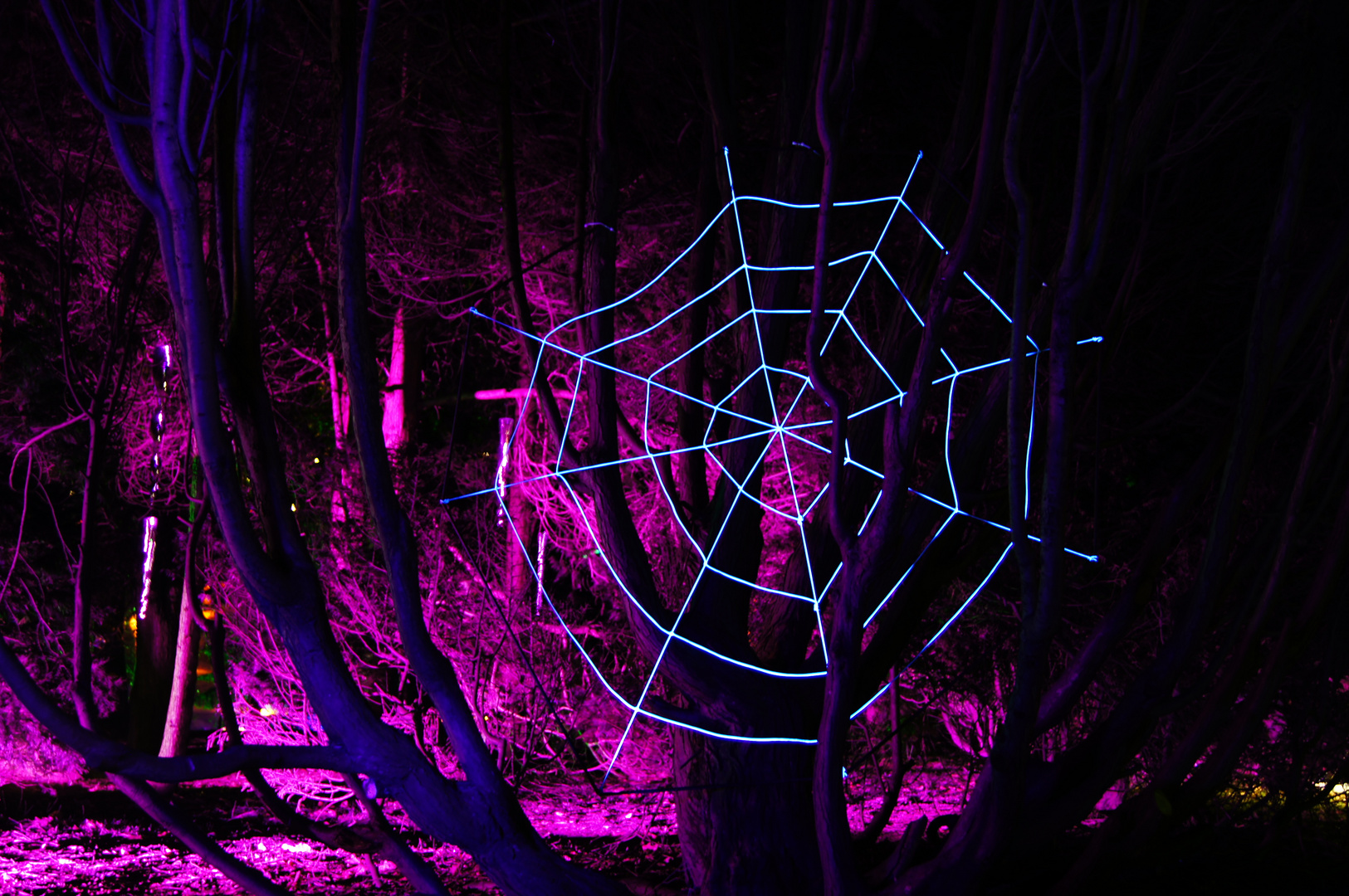 Spinnennetz Im Rahmen der Lichterwoche im Gruga park