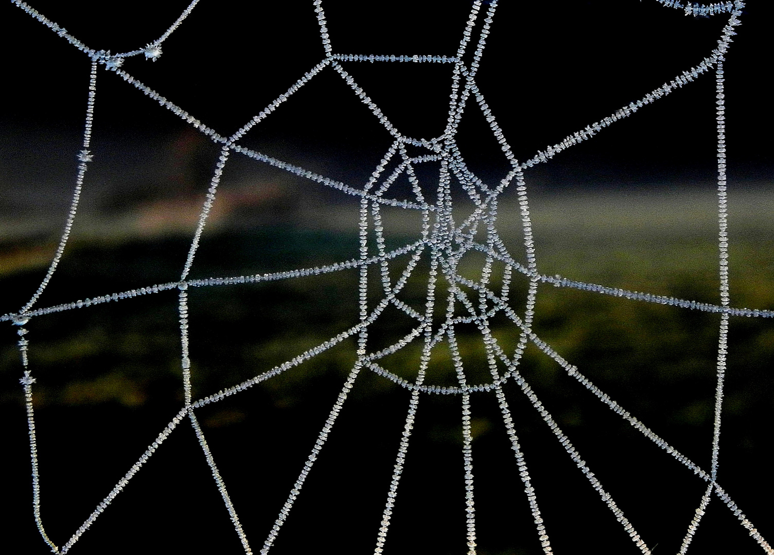 Spinnennetz nach frostiger Nacht