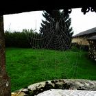 Spinnennetz über dem Brunnen