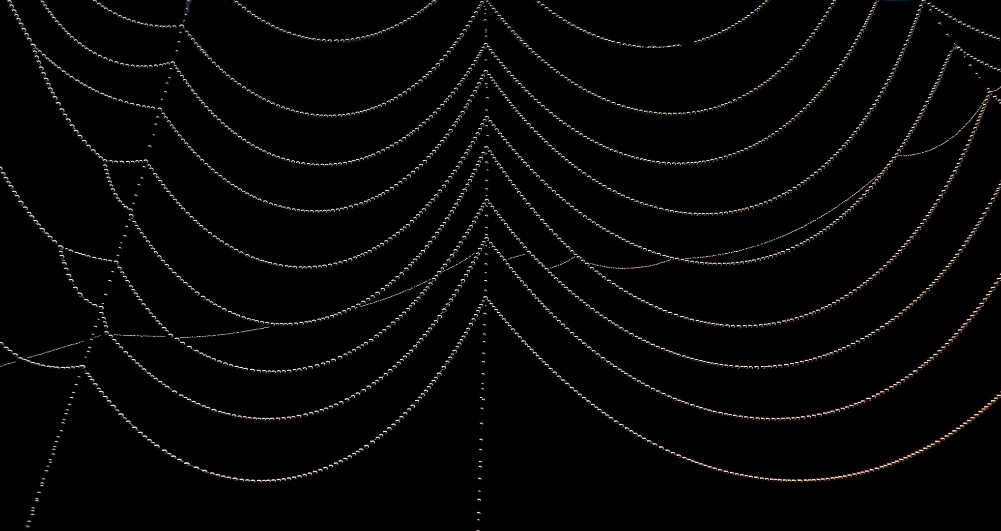 Spinnennetzdetail frühmorgens