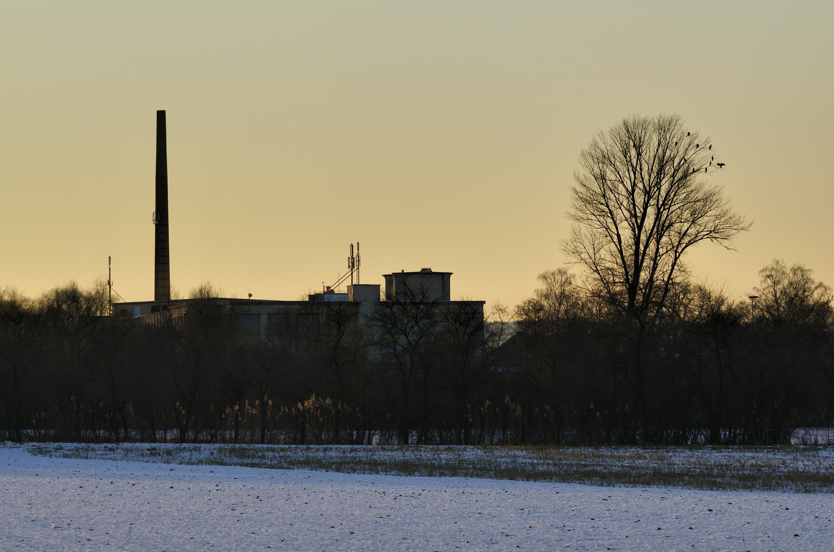 Spinnerei Forchheim