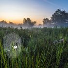 Spinnereien in der Heide