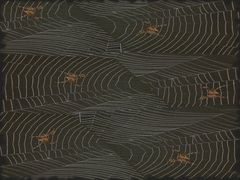Spinnwebe Spinnenwege
