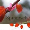 Spinnweberin