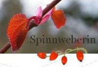 Spinnweberin