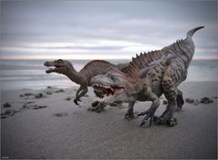 Spinosaurier und Acrocanthosaurier am Strand